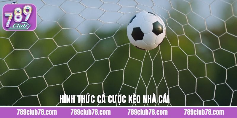 Tổng hợp những kèo cược hấp dẫn nhất hiện nay