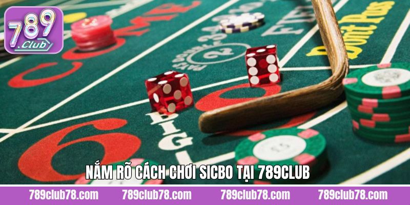 Top các cách thức tham gia chơi Sicbo dễ dàng 