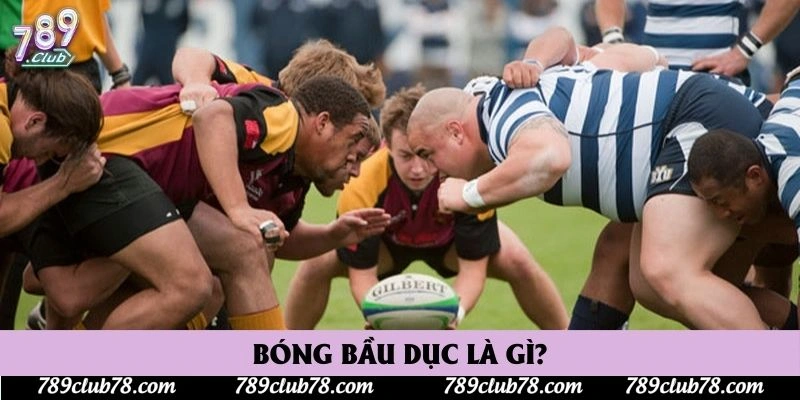 Bóng bầu dục là gì?