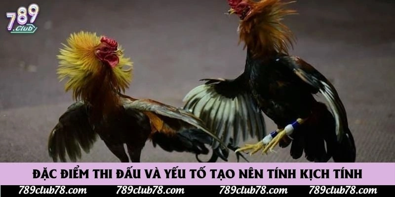 Đặc điểm thi đấu và yếu tố tạo nên tính kịch tính