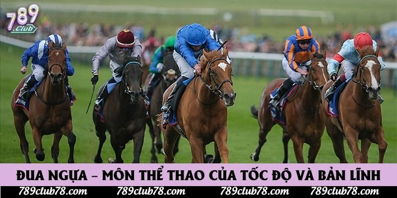Đua ngựa – môn thể thao của tốc độ và bản lĩnh