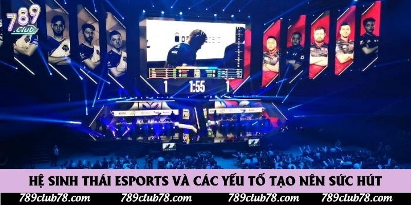 Hệ sinh thái Esports và các yếu tố tạo nên sức hút