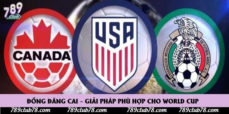 Đồng đăng cai – giải pháp phù hợp cho World Cup Đồng đăng cai – giải pháp phù hợp cho World Cup