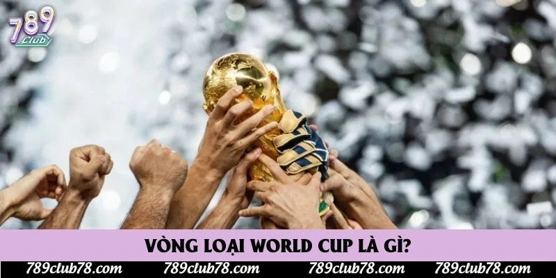 Vòng loại World Cup là gì?